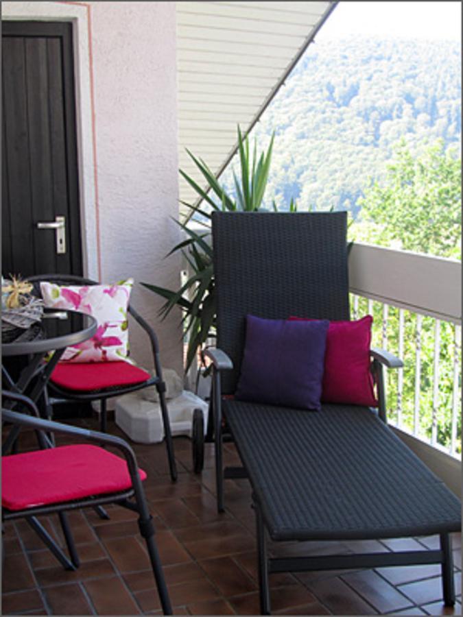Apartment Bieniussa Gemunden am Main